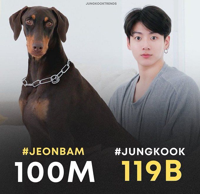 BTS Jungkook's pet dog Jeon Bam most famous dog and exceeds 100 million views on TikTok