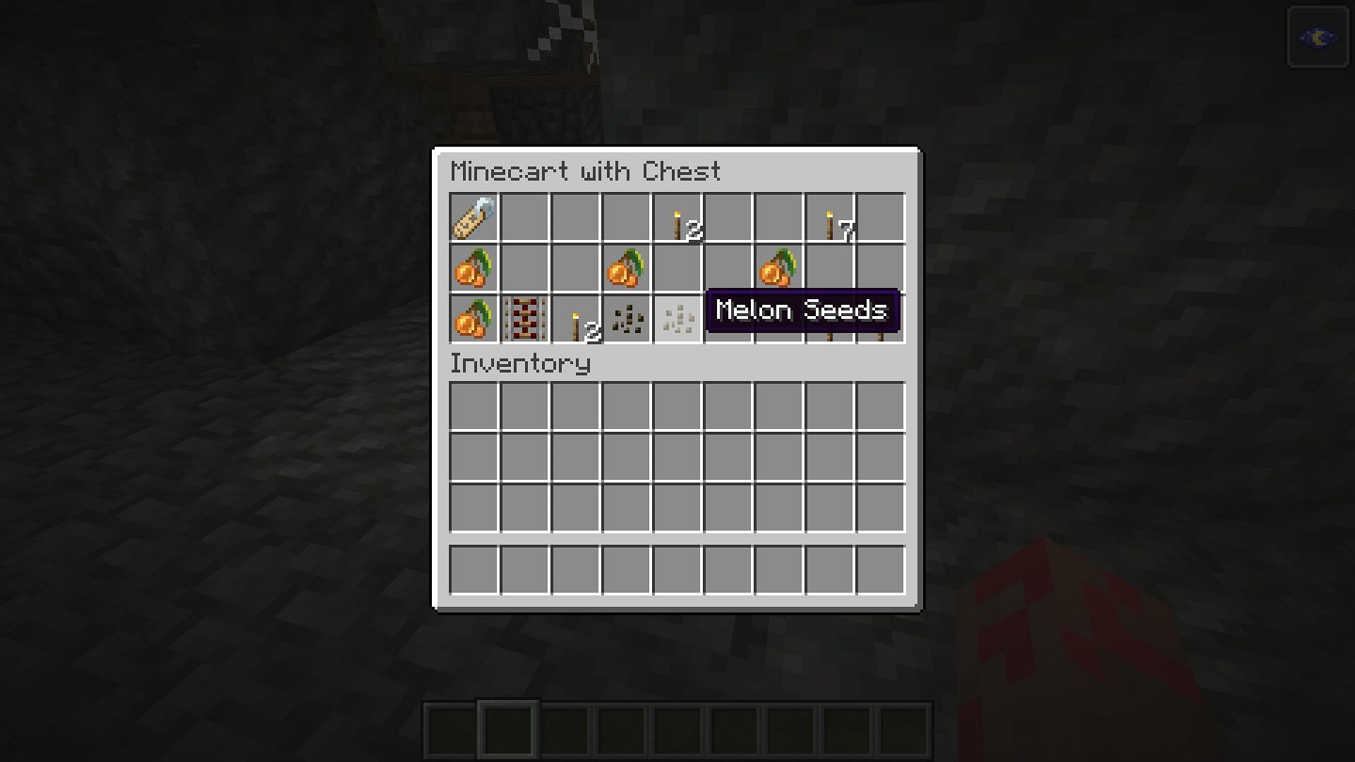 Seeds found in mineshaft chest (Image via Minecraft)