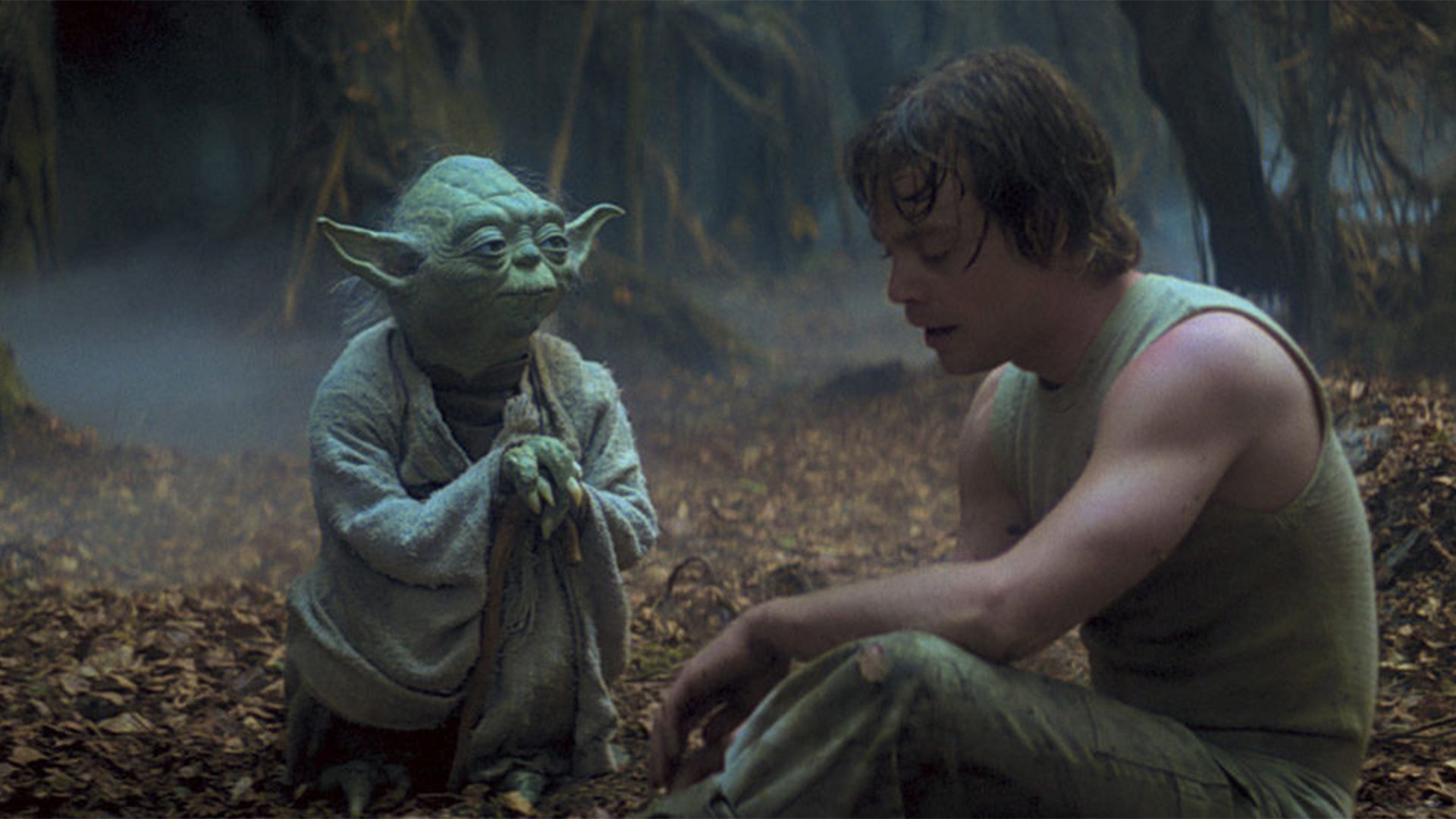 Yoda training Luke to become a Jedi (Image via Disney+)