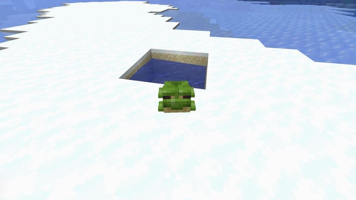 How to get different colored frogs in Minecraft 1.19 The Wild Update?