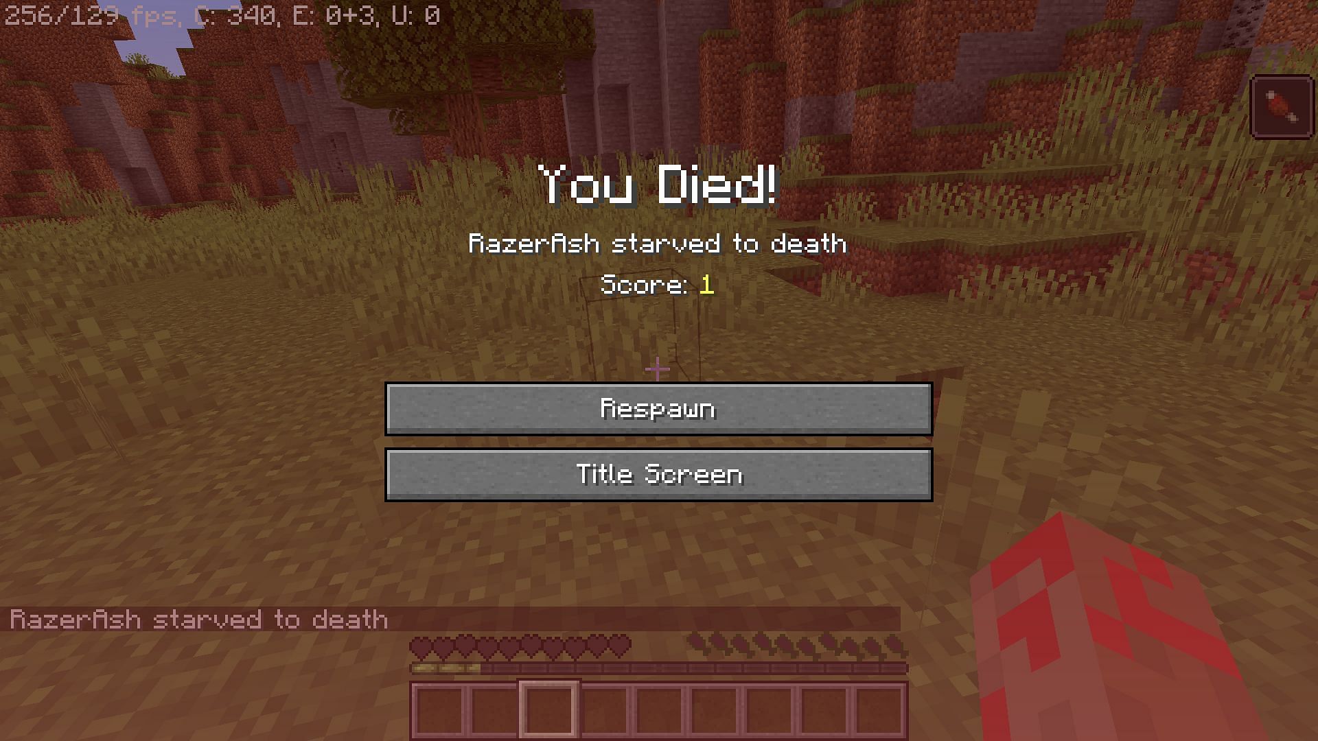 Player died from hunger (Image via Minecraft)