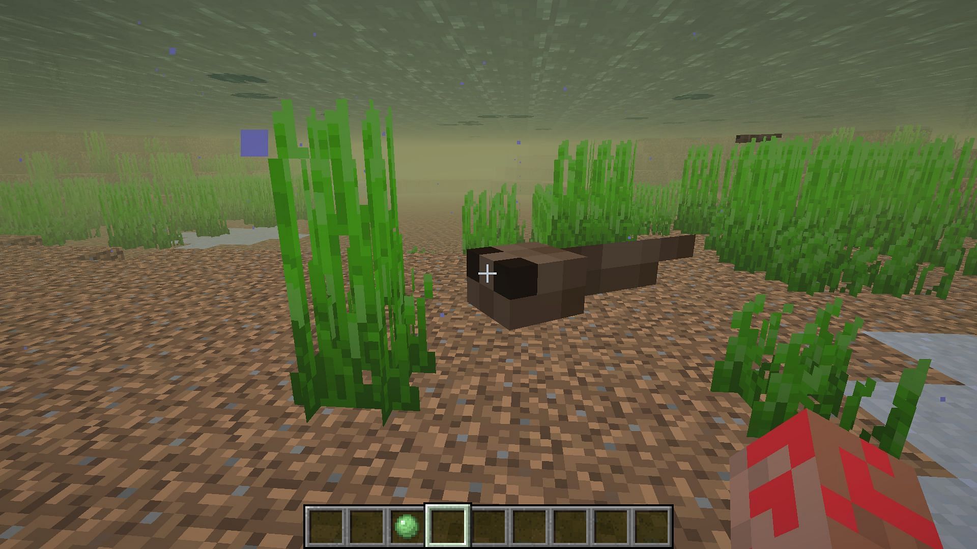 Tadpoles hatched from eggs (Image via Mojang)