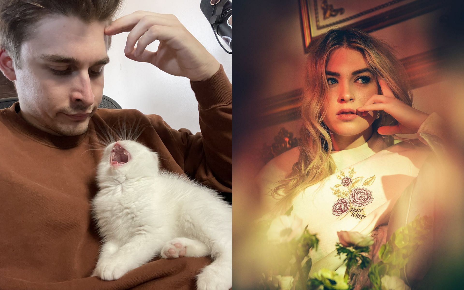 Ludwig calls QTCinderella on stream to suggest a few names for their new kitten (Images via LudwigAhgren and QTCinderella/Twitter)
