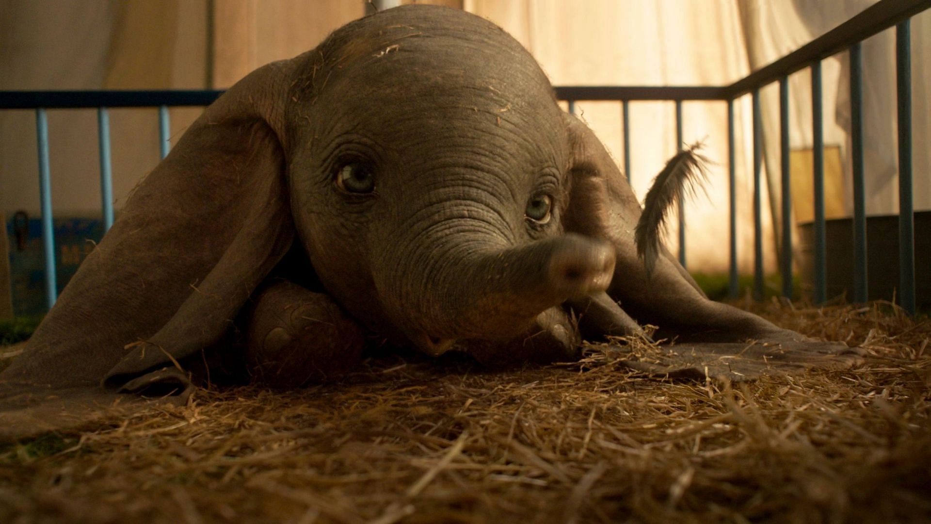 Dumbo as he appears in the live-action film (Image via Disney)