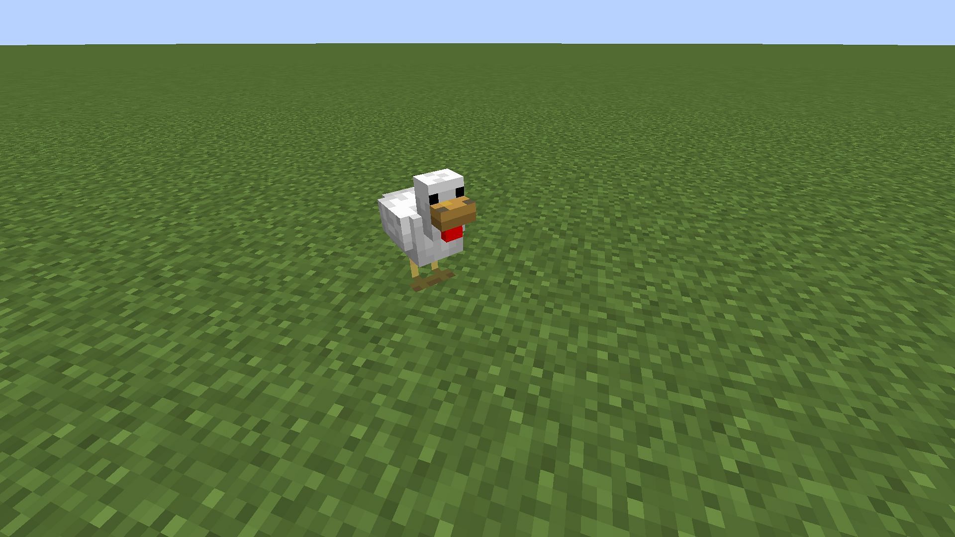Chickens only have 2 hearts of health in the game (Image via Minecraft)