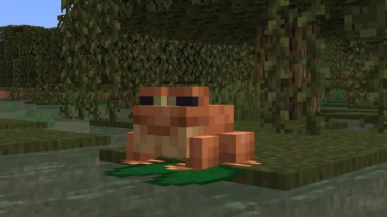 Frogs are jumping into the game upon the release of Minecraft 1.19 (Image via Minecraft)
