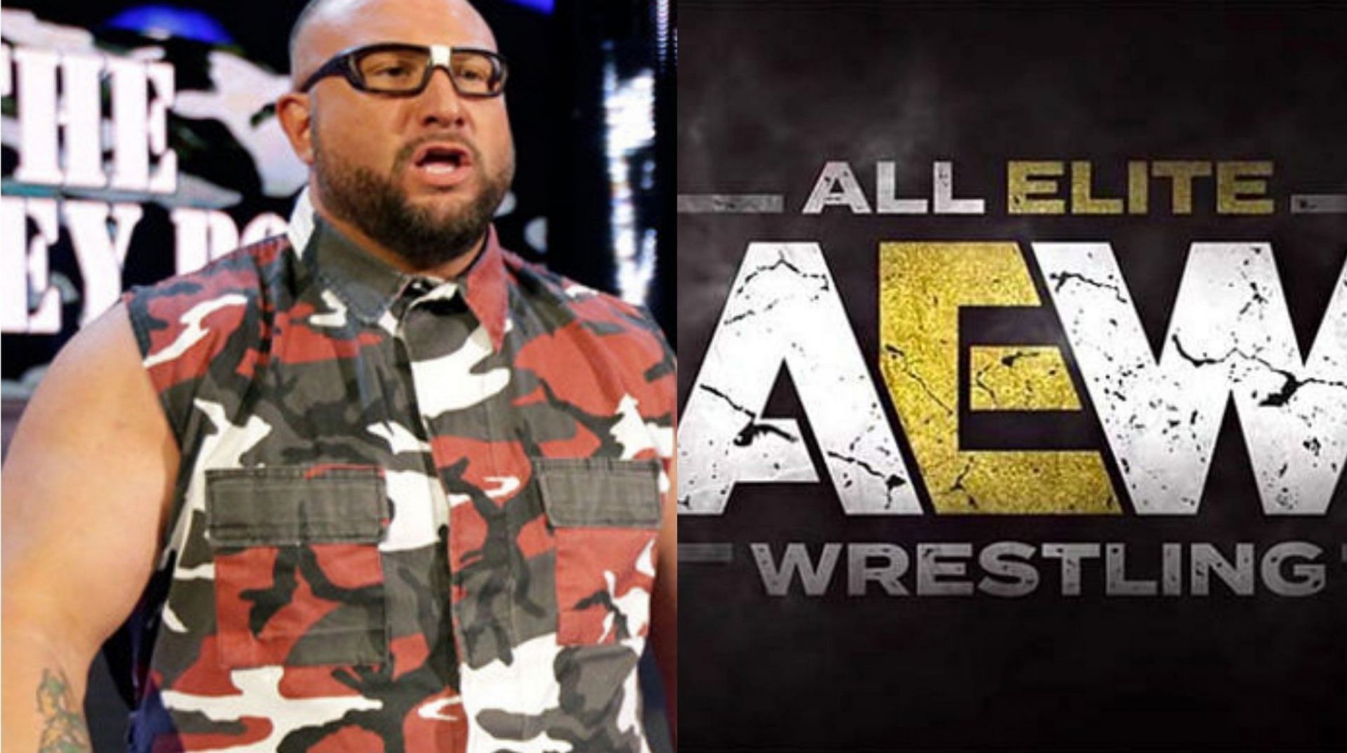 Bully Ray has high praise for a top AEW star!