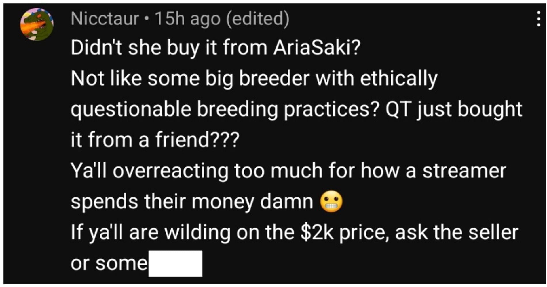 Does it really matter how much she spent on the kitten? One user doesn&#039;t think it&#039;s a big deal (Image via YouTube)