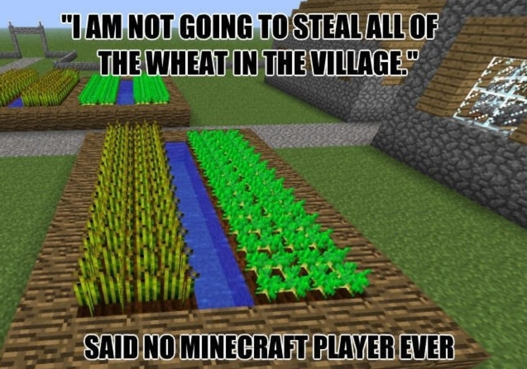 Villagers don&#039;t need ALL of their wheat, do they? (Image via MemeCenter)