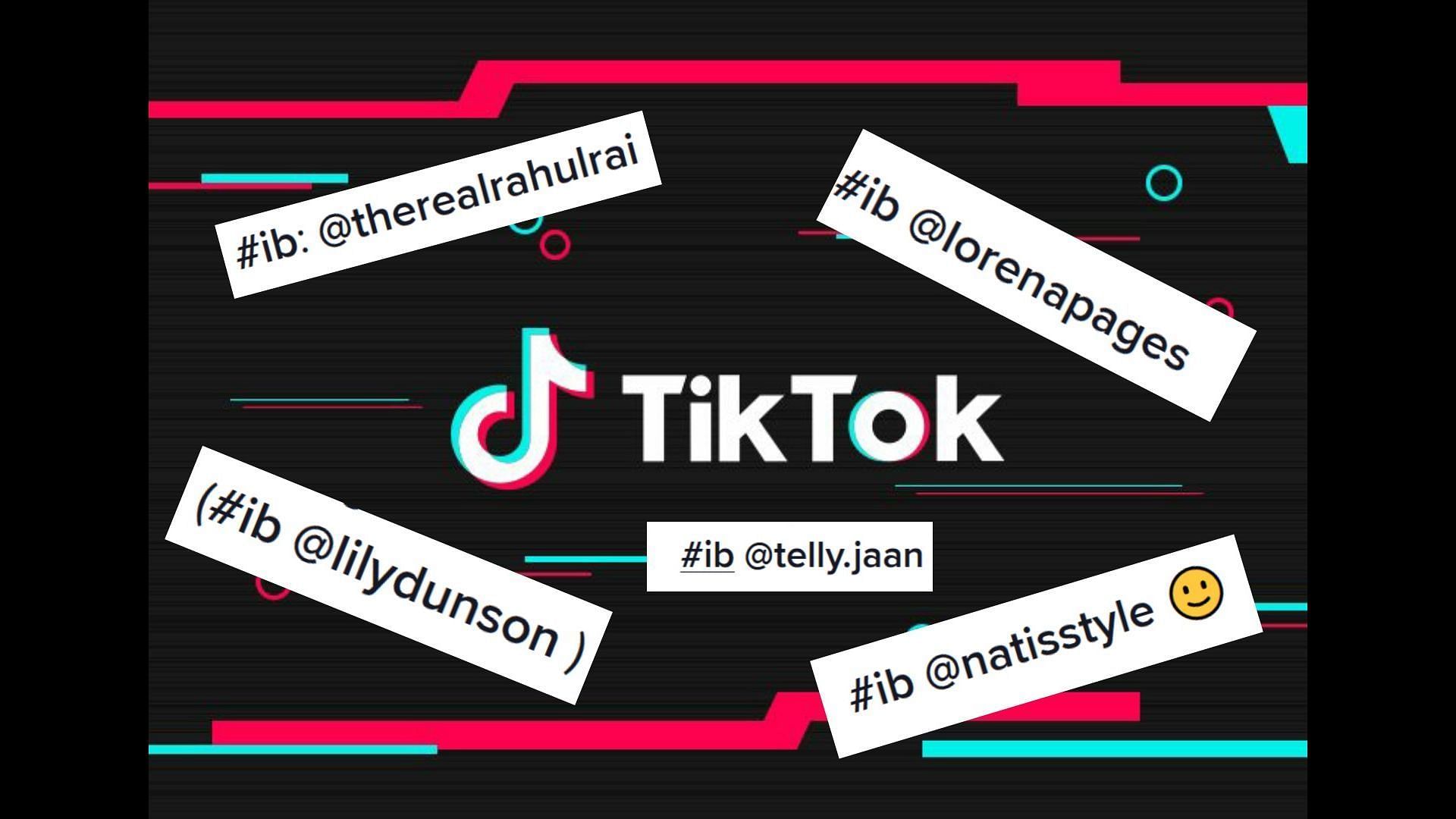 Creators on TikTok use the term IB to mention the inspiration behind the video (Image via TikTok/Sportskeeda)