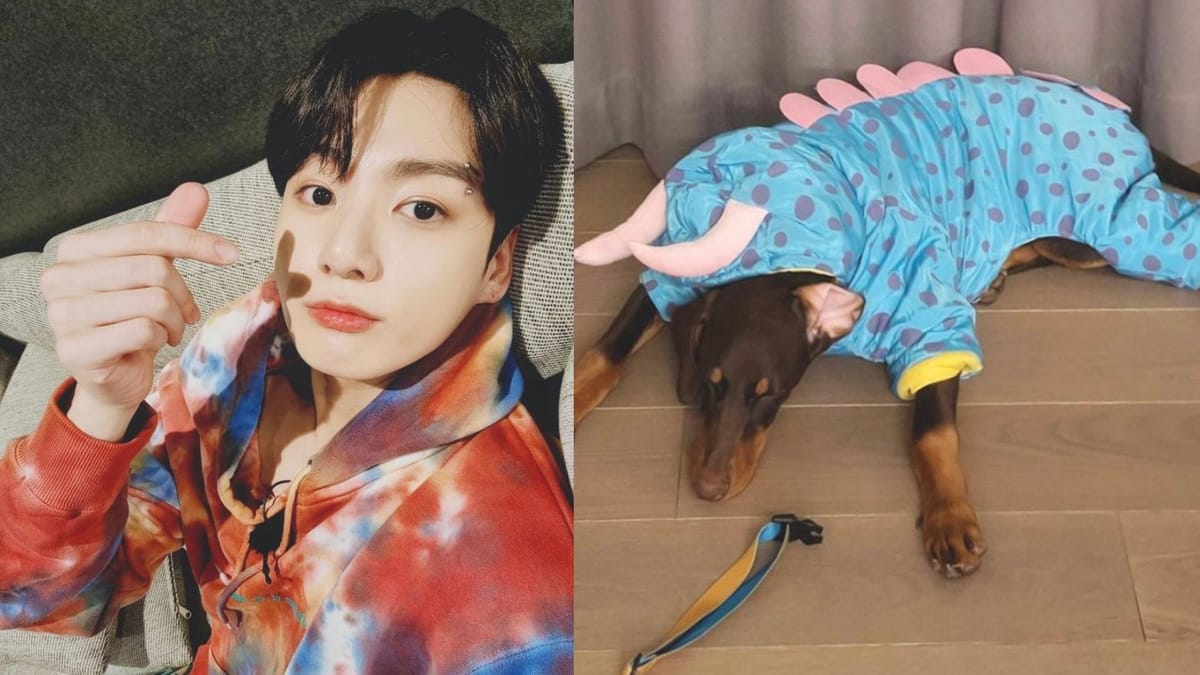 BTS Jungkook's pet dog Jeon Bam most famous dog and exceeds 100