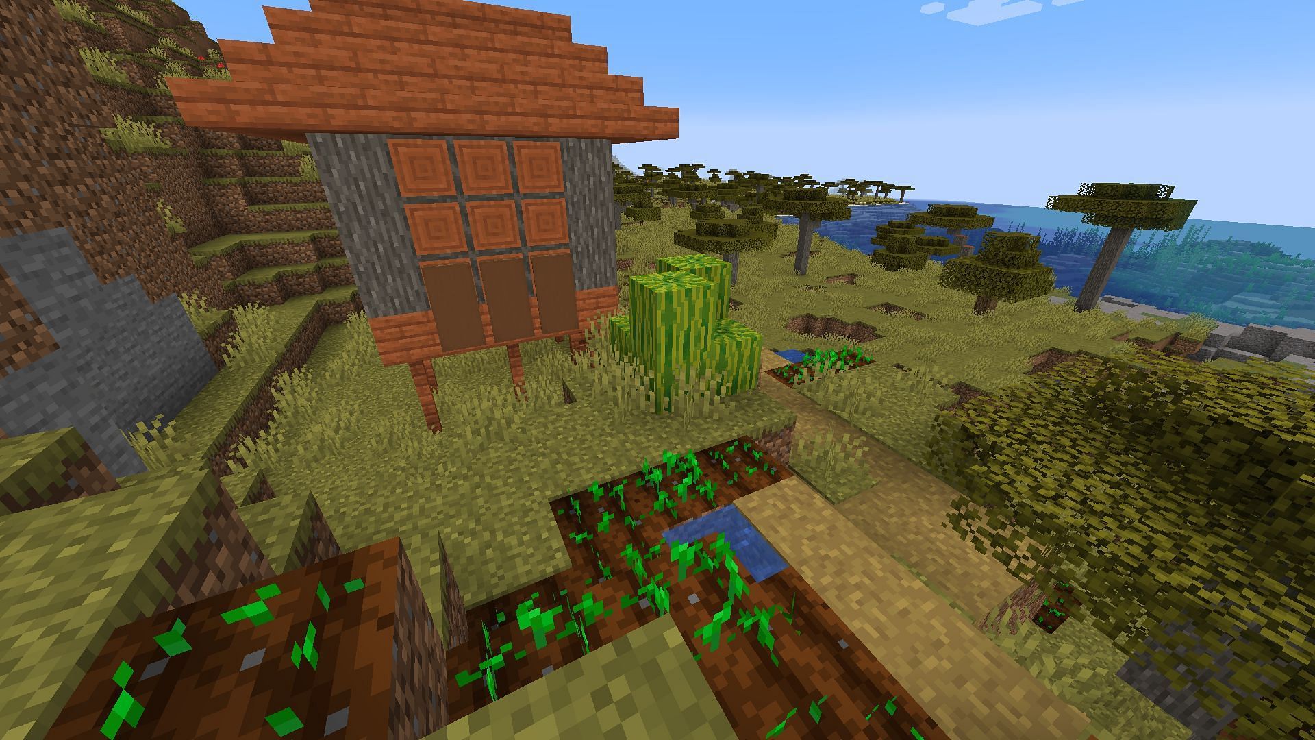 Growing in Savanna villages (Image via Minecraft)