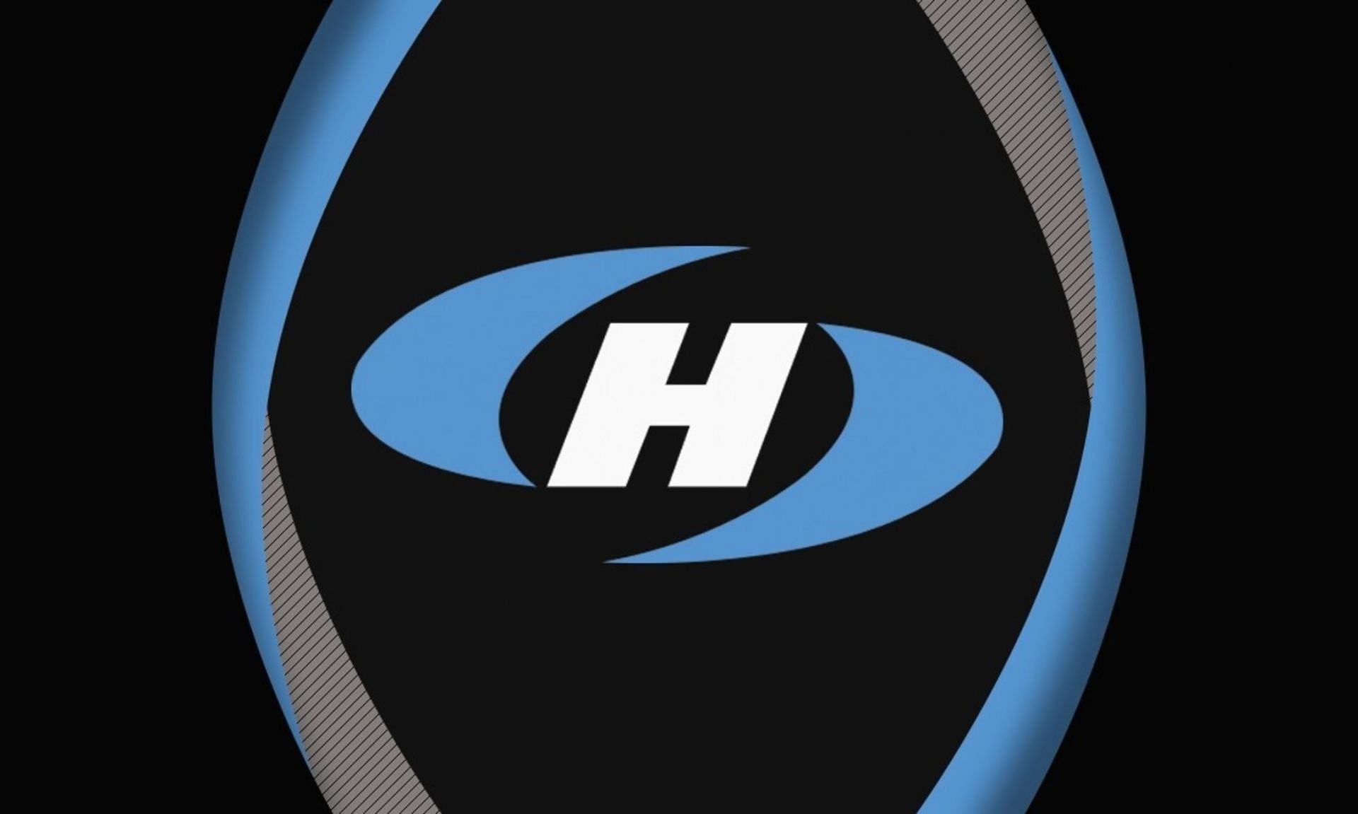 HostHavoc are aprobare foarte mare din partea clienților și recenzenților (Imagine prin HostHavoc)