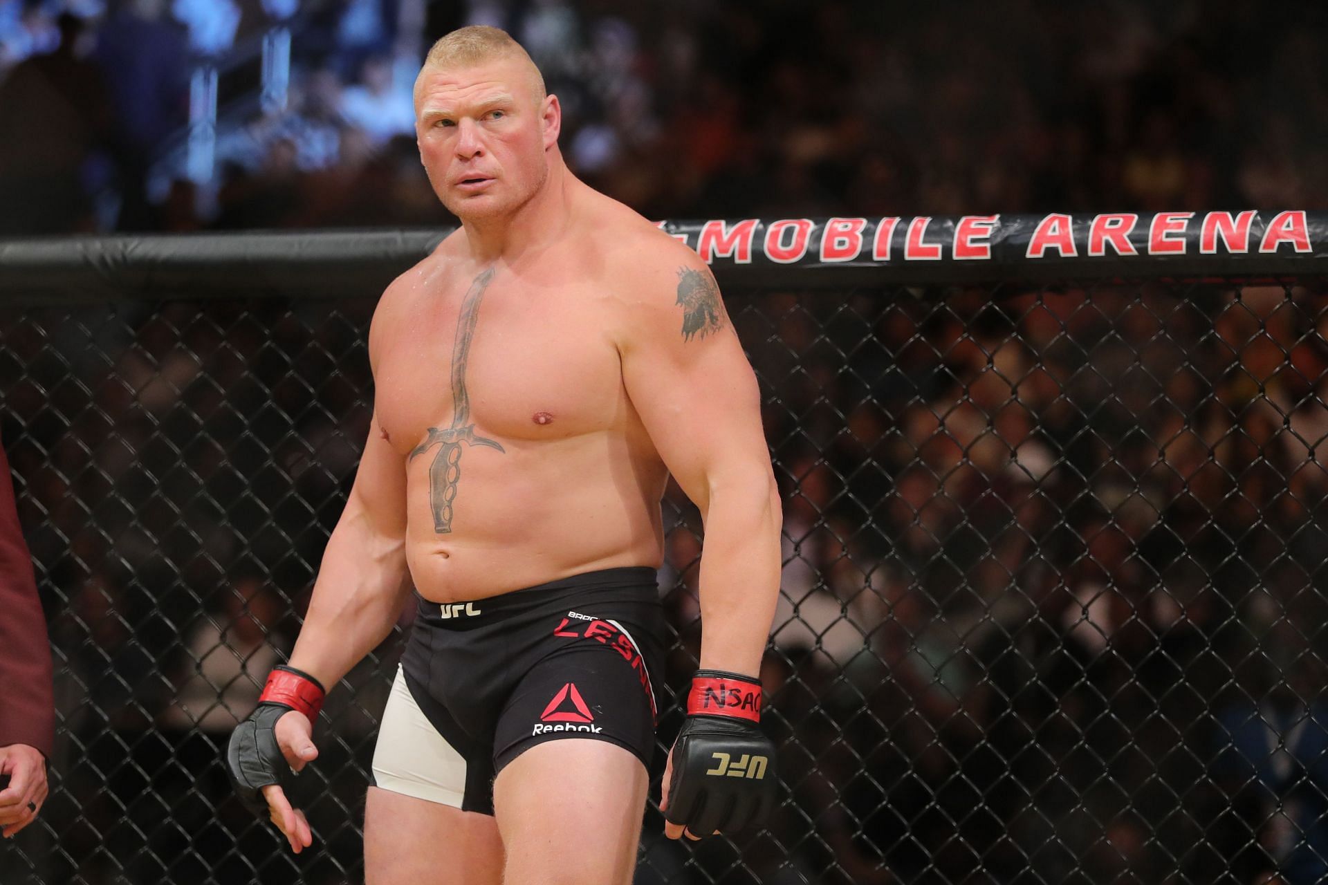 Brock Lesnar returns to the octagon