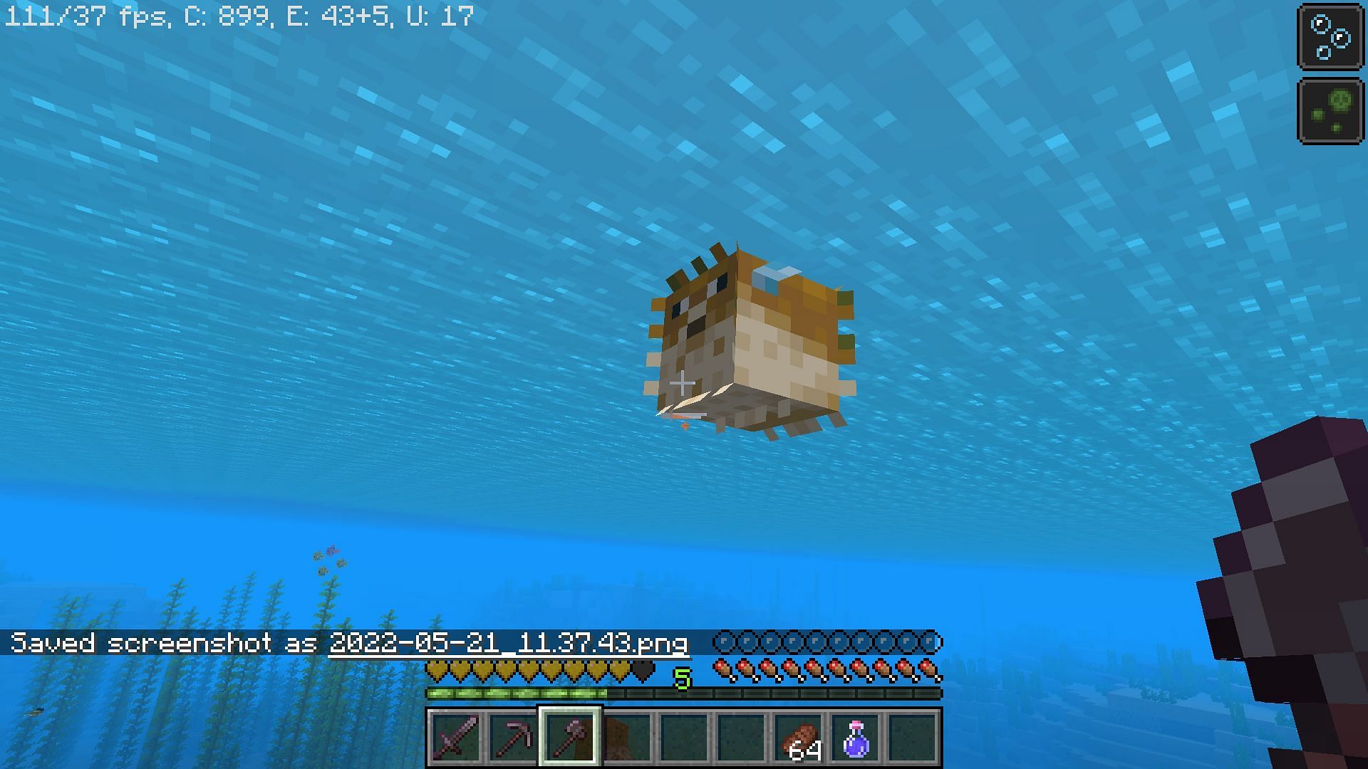 Pufferfish in a hostile state can apply a poison effect on players (Image via Minecraft)