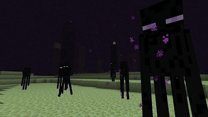 The Enderman spawn in the Overworld at light level 7 or lower
