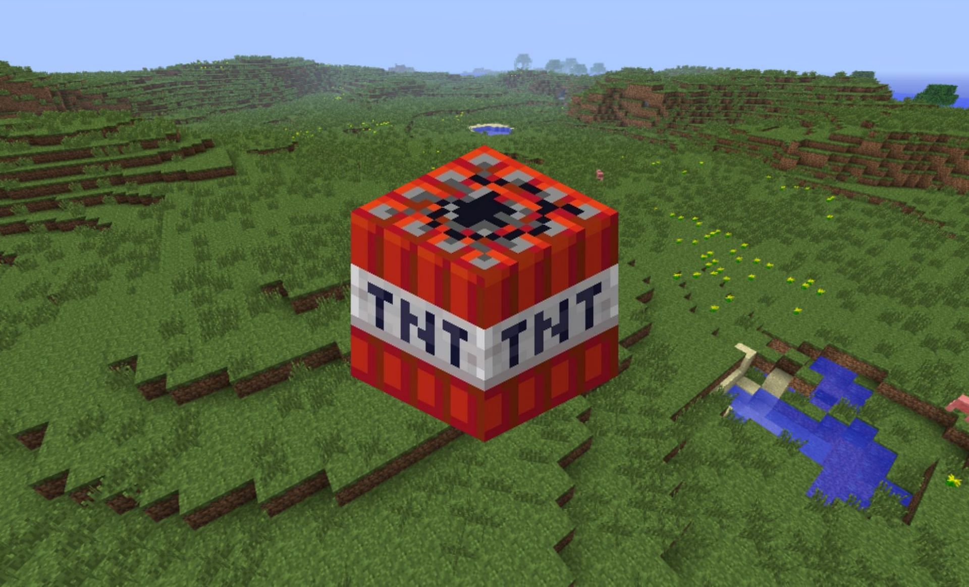 TNT block in Minecraft (Image via Minecraft Wiki)