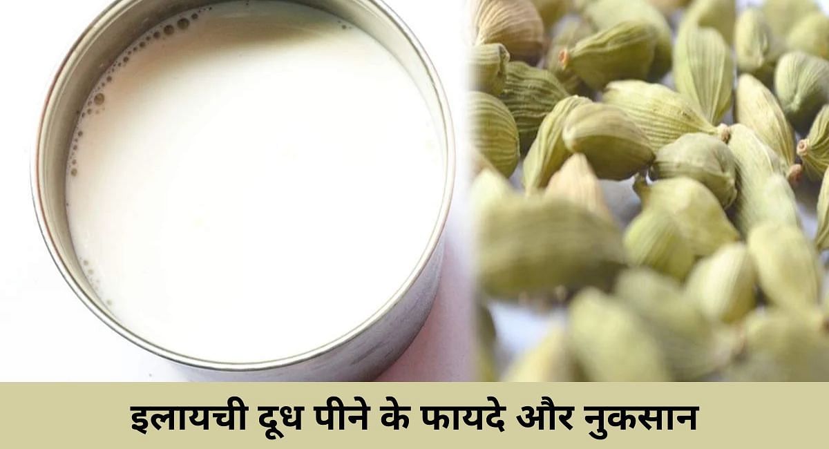 इलायची दूध पीने के फायदे और नुकसान(फोटो-Sportskeeda hindi)