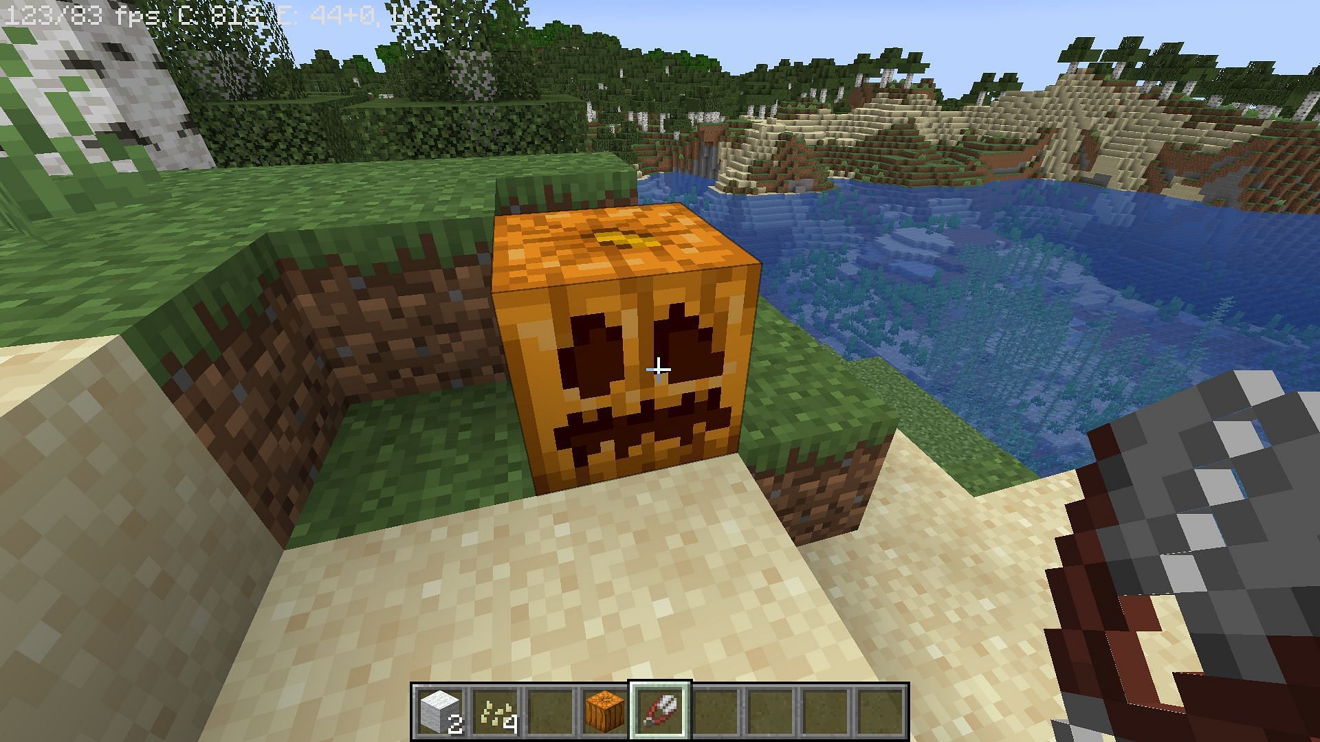 Carved pumpkin (Image via Minecraft)