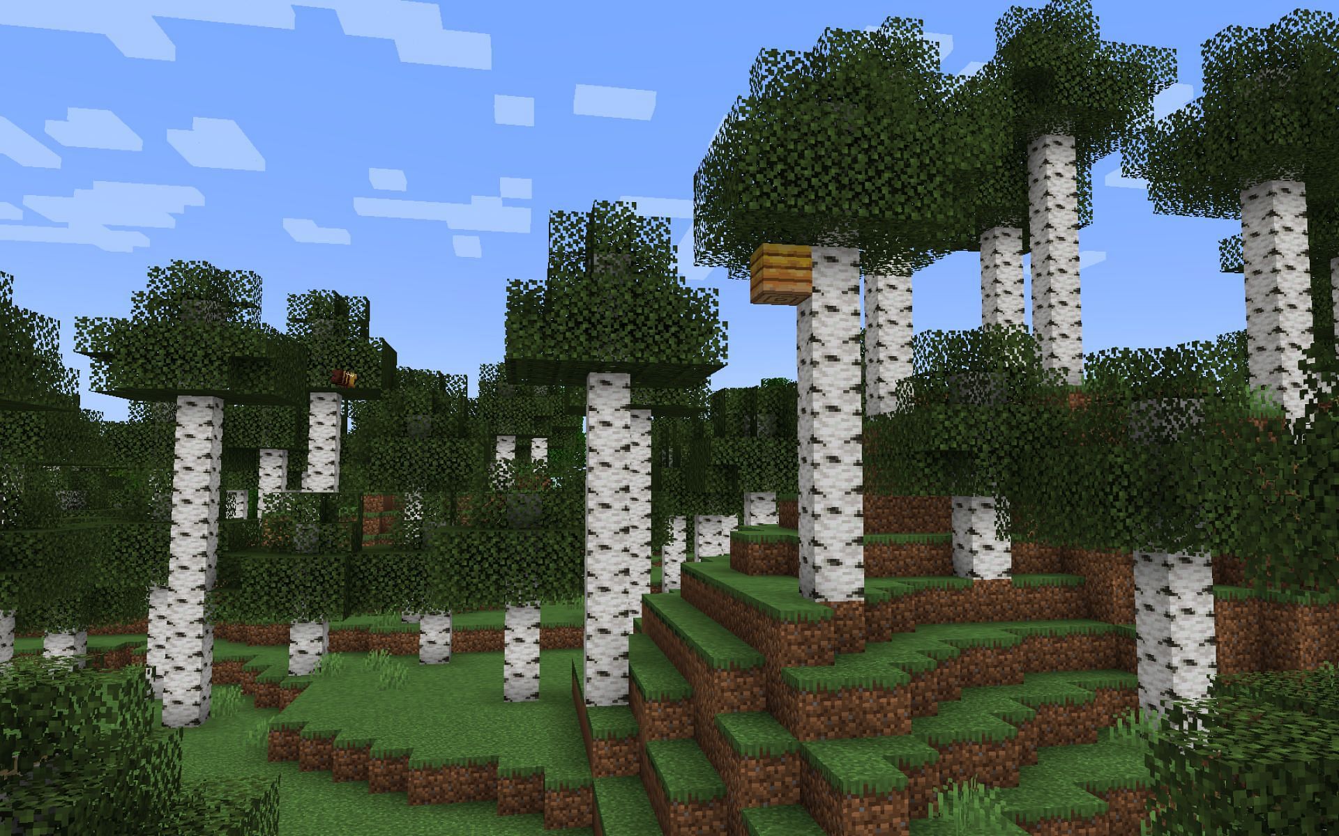 Birch forest (Image via Minecraft)