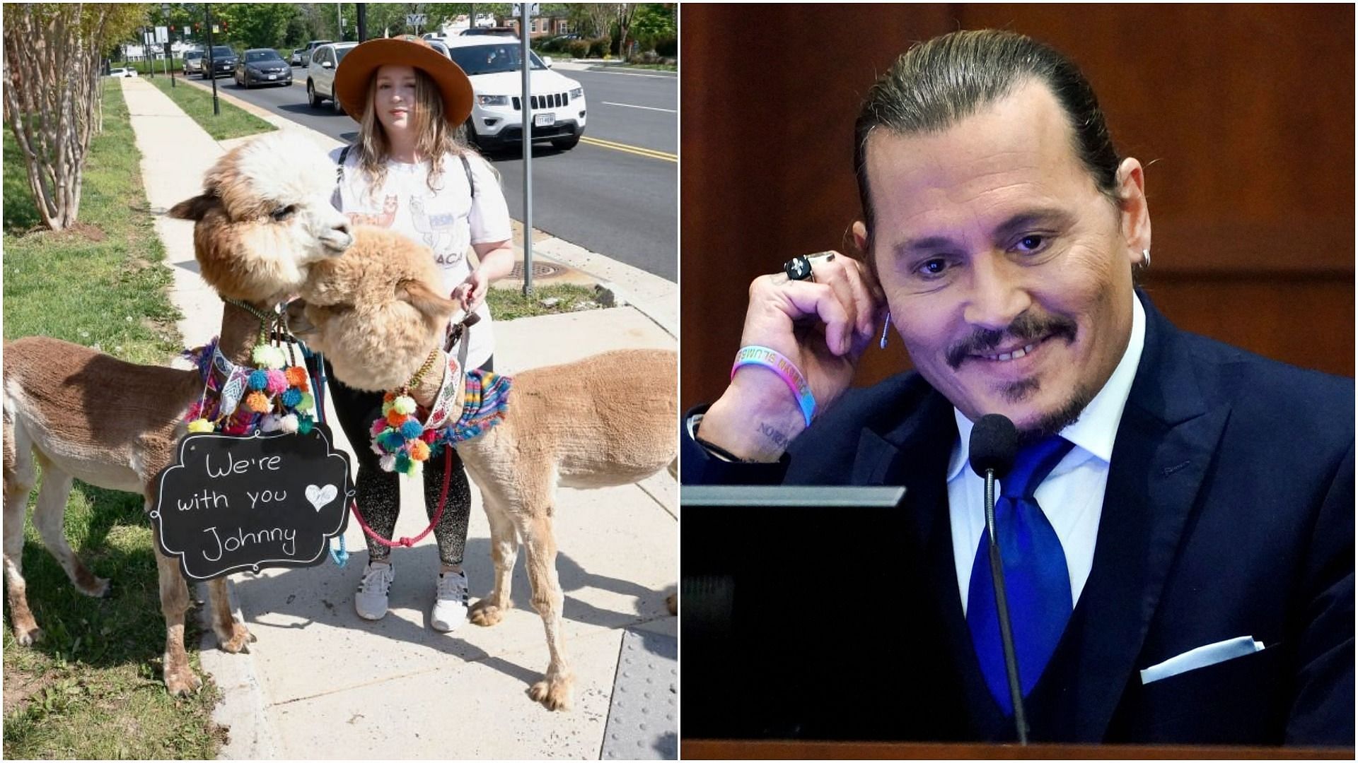 Fan outside court with alpacas and Johnny Depp&#039;s smile during the ongoing trial (Image via Paul Morigi/Getty Images, and Steve Helber/Pool/AFP/Getty Images)