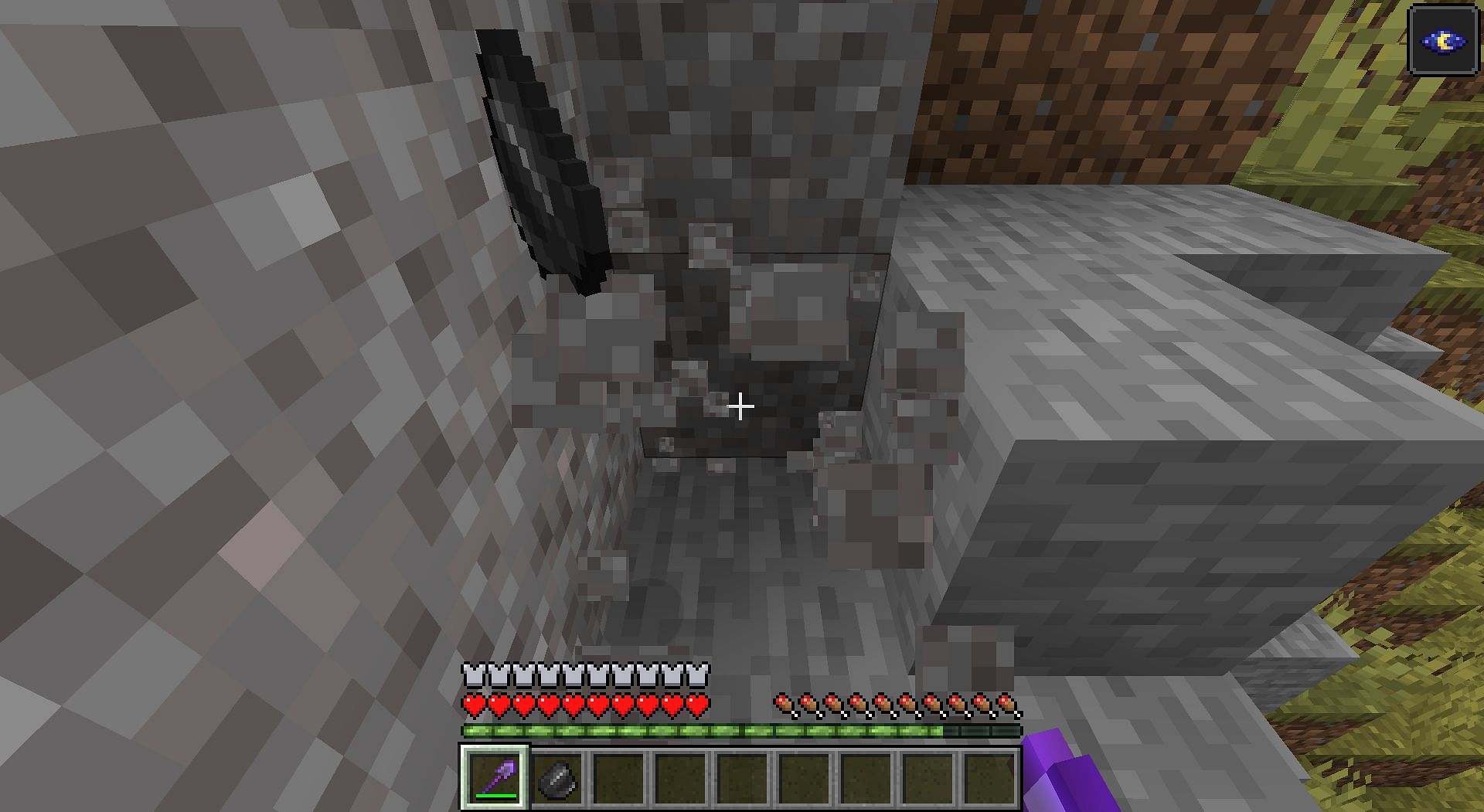 Fortune 3 enchanted shovel will have a 100% chance of dropping the item (Image via Minecraft 1.18)