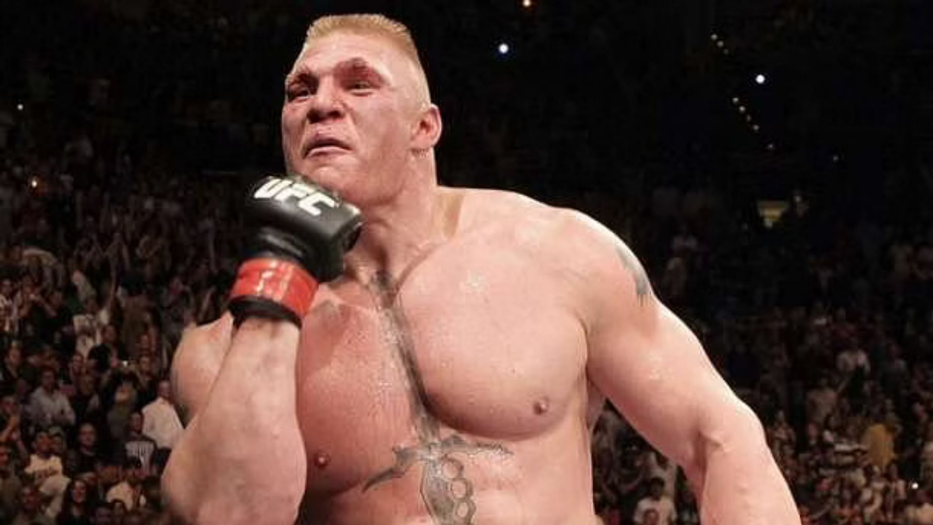 Brock Lesnar has had a successful career in both WWE and UFC