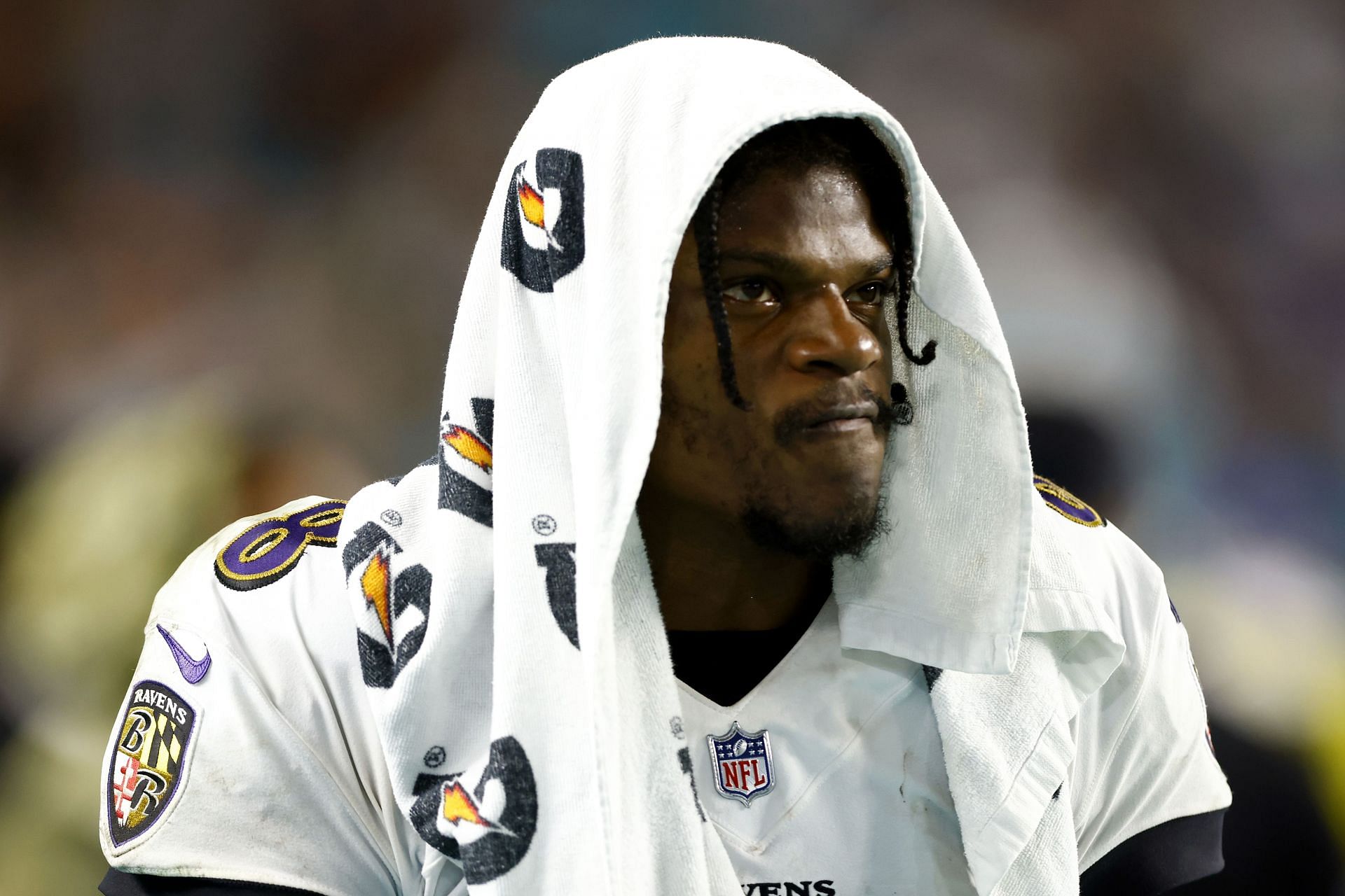 Baltimore Ravens quarterback Lamar Jackson studies the field