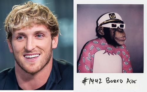 Logan Paul (left) and 42 Bored Ape (right)