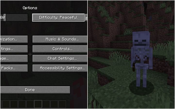 what-is-peaceful-mode-in-minecraft