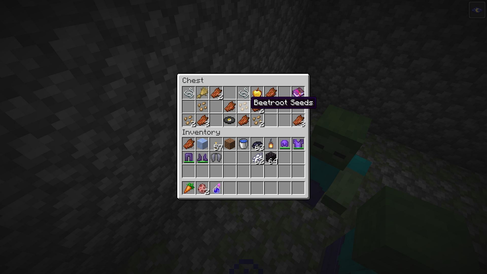 Beetroot seeds found in a dungeon chest in Minecraft (Image via Minecraft)
