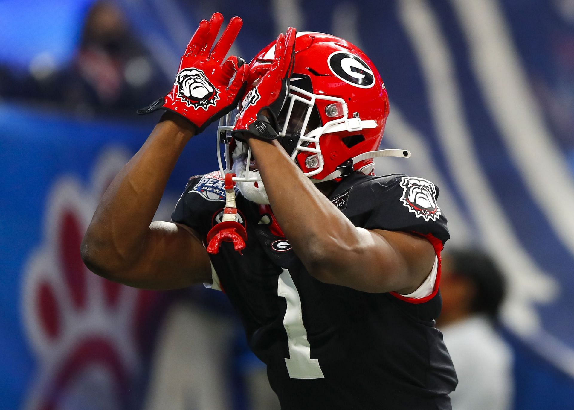 Georgia Bulldogs wide receiver George Pickens