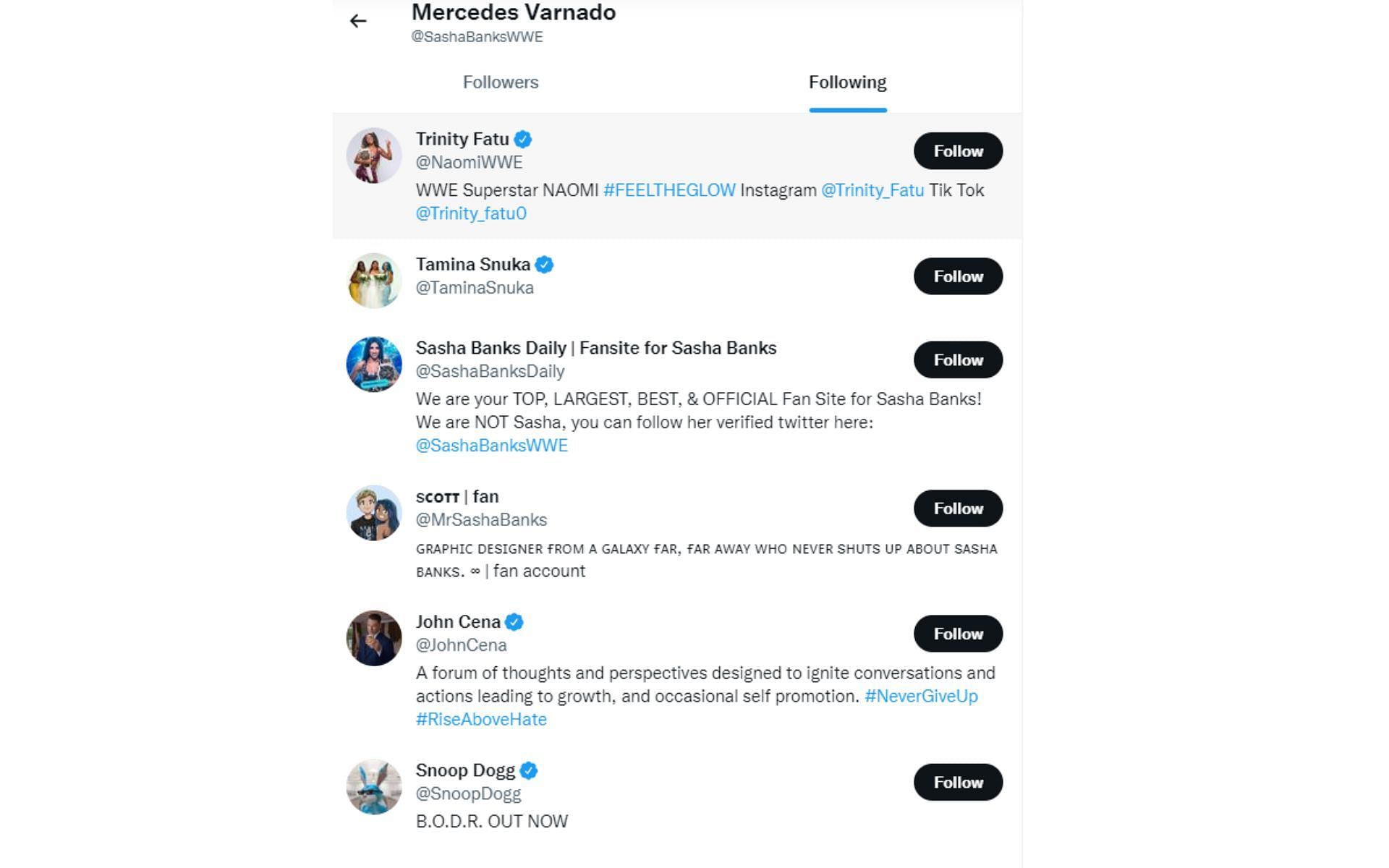 Sasha Banks is only following six accounts on Twitter.