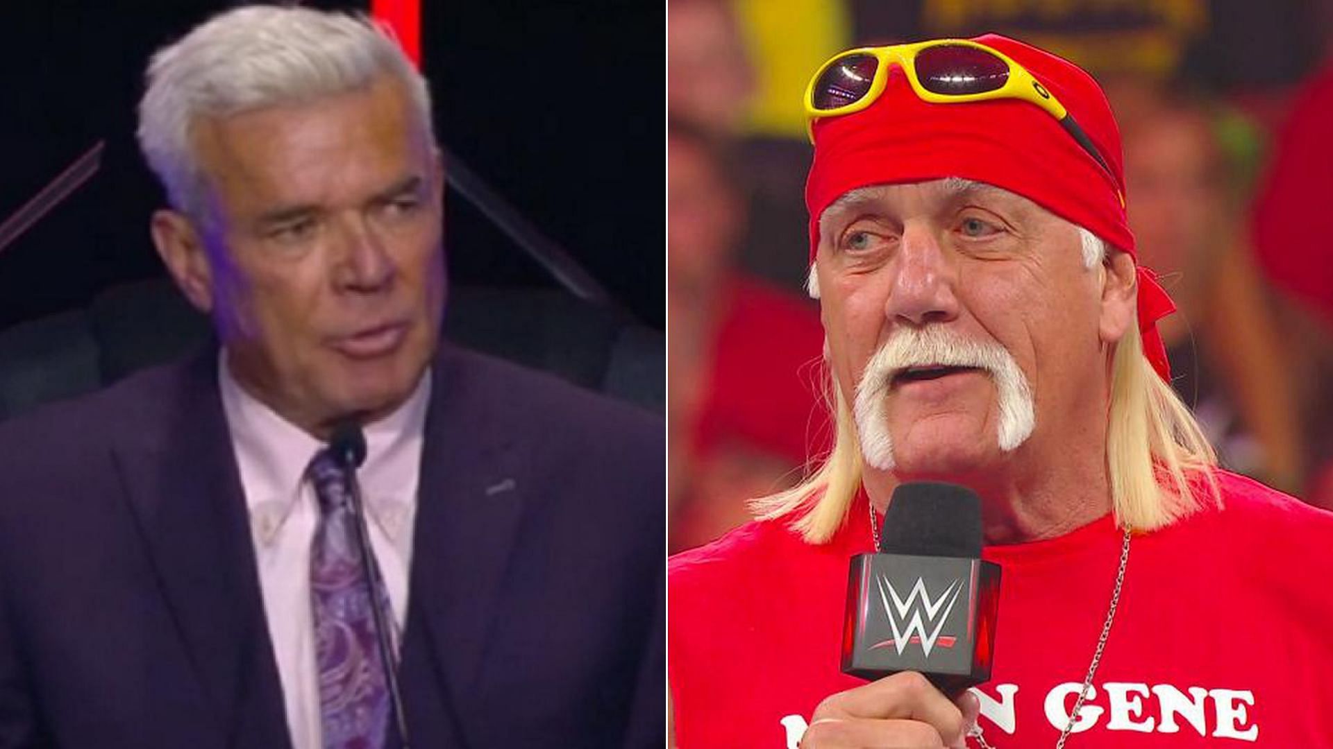 Eric Bischoff and Hulk Hogan are WWE Hall of Famers