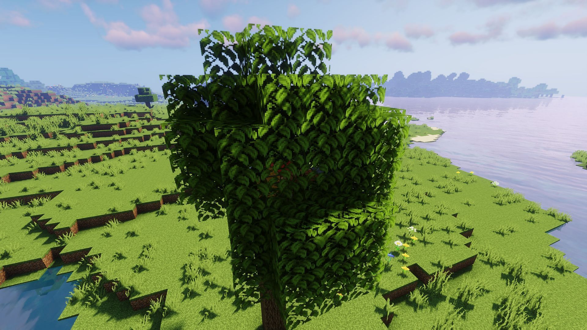 A micro-base hidden inside of a plains tree (Image via Minecraft)