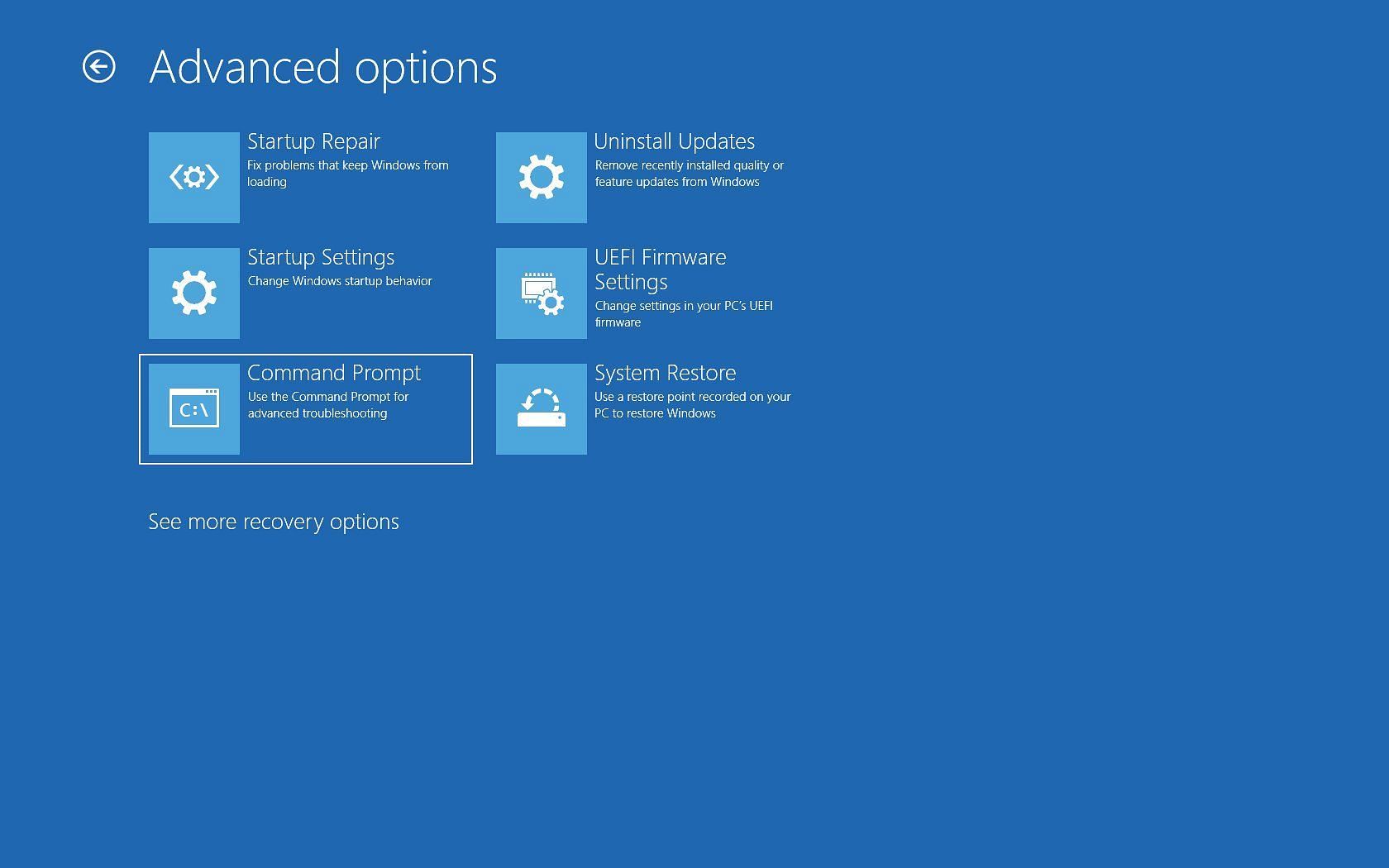 Advanced Options in Windows (Image via Google Images)