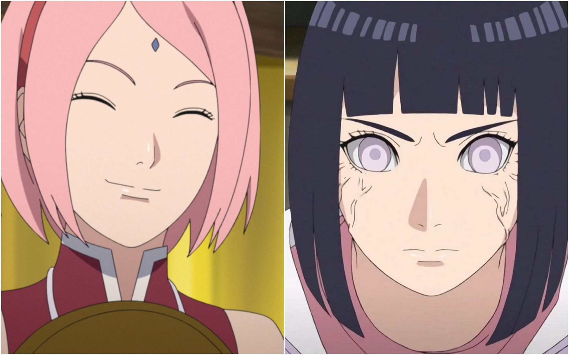 Comparing Sakura and Hinata from the series (image via Pierrot)