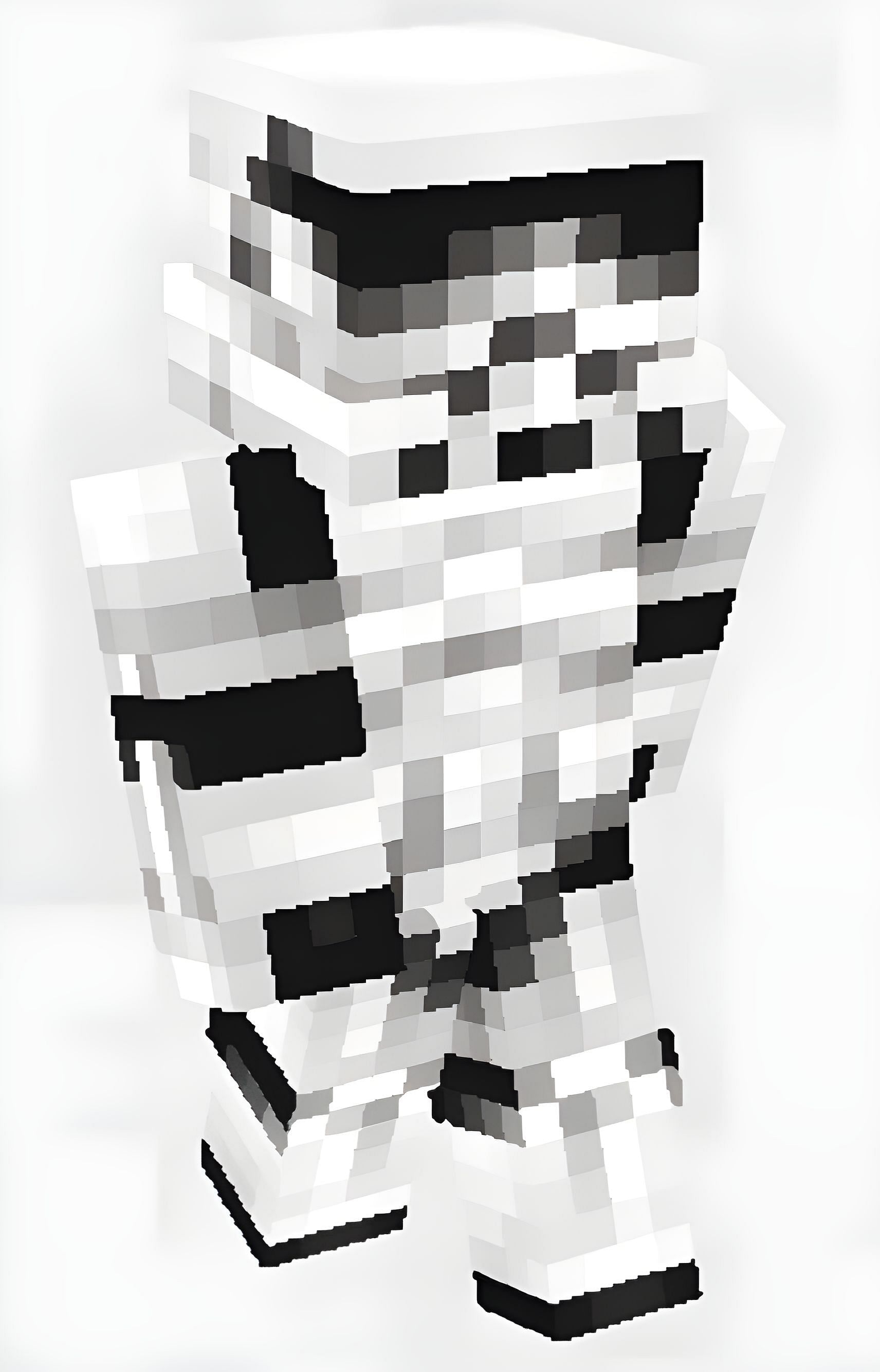 Stormtrooper Skin (Image via SkinsMC)