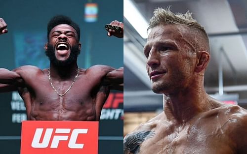 Aljamain Sterling (left) and T.J. Dillashaw (right)