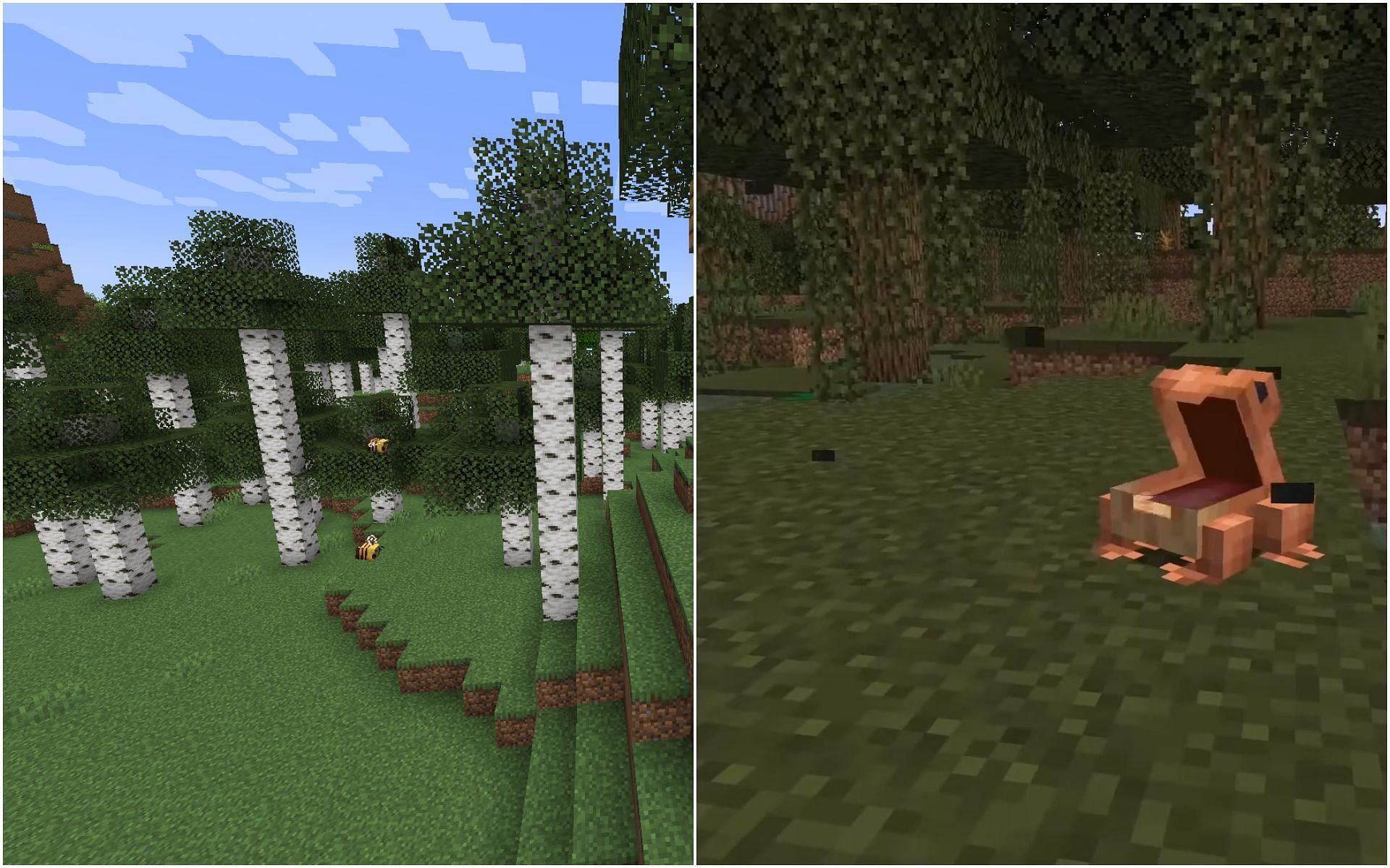 Birch forest and frogs eating fireflies (Image via Mojang)