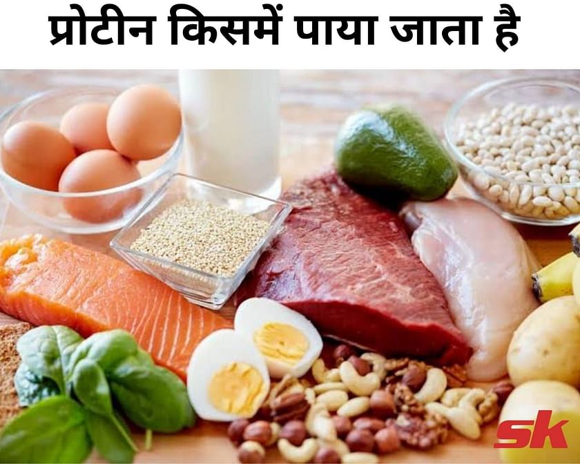 प्रोटीन किसमें पाया जाता है Protein Kisme Paya Jata Hai In Hindi