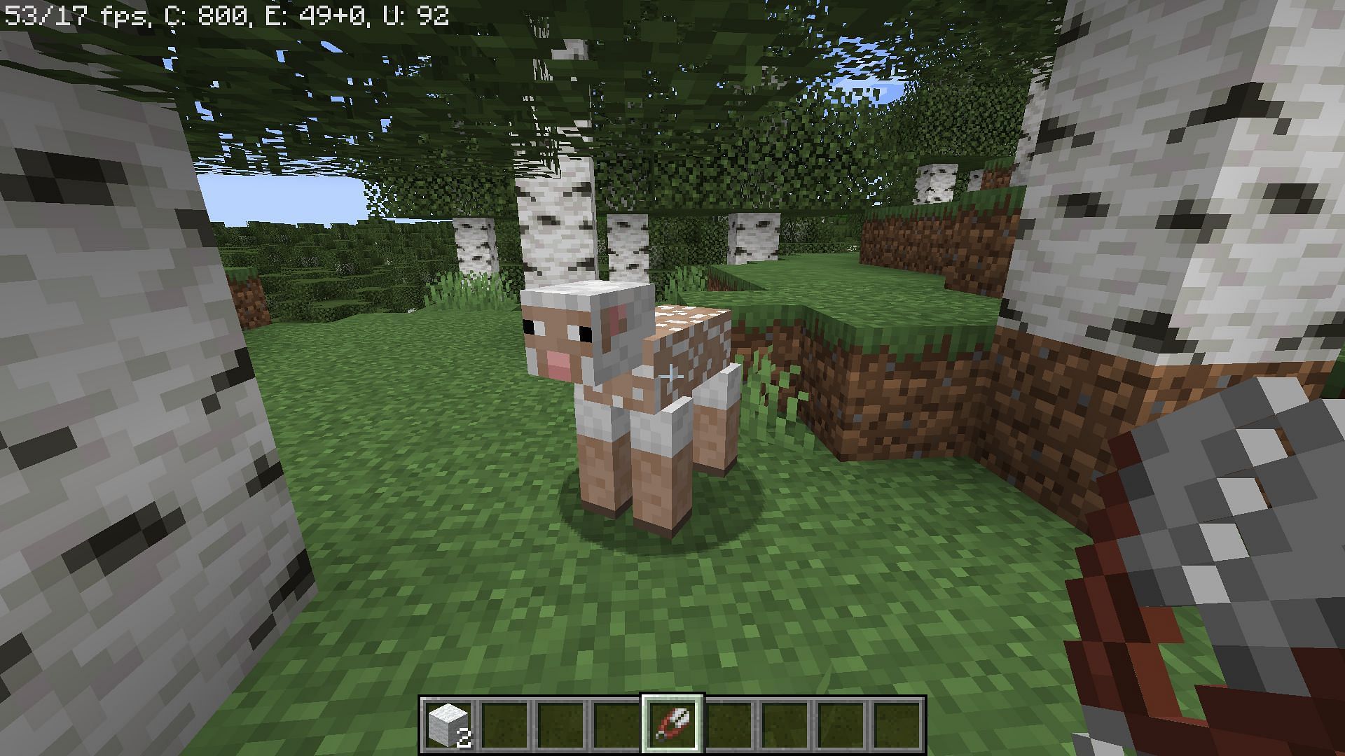 Sheep without wool (Image via Minecraft)