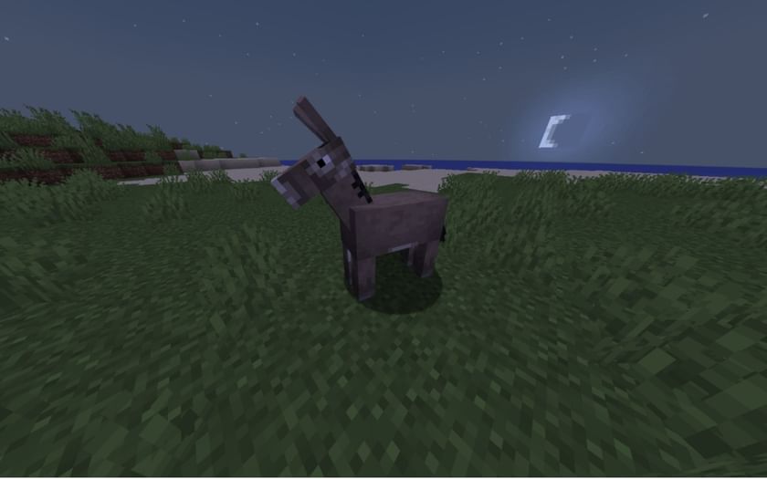 Top 5 uses of donkeys in Minecraft
