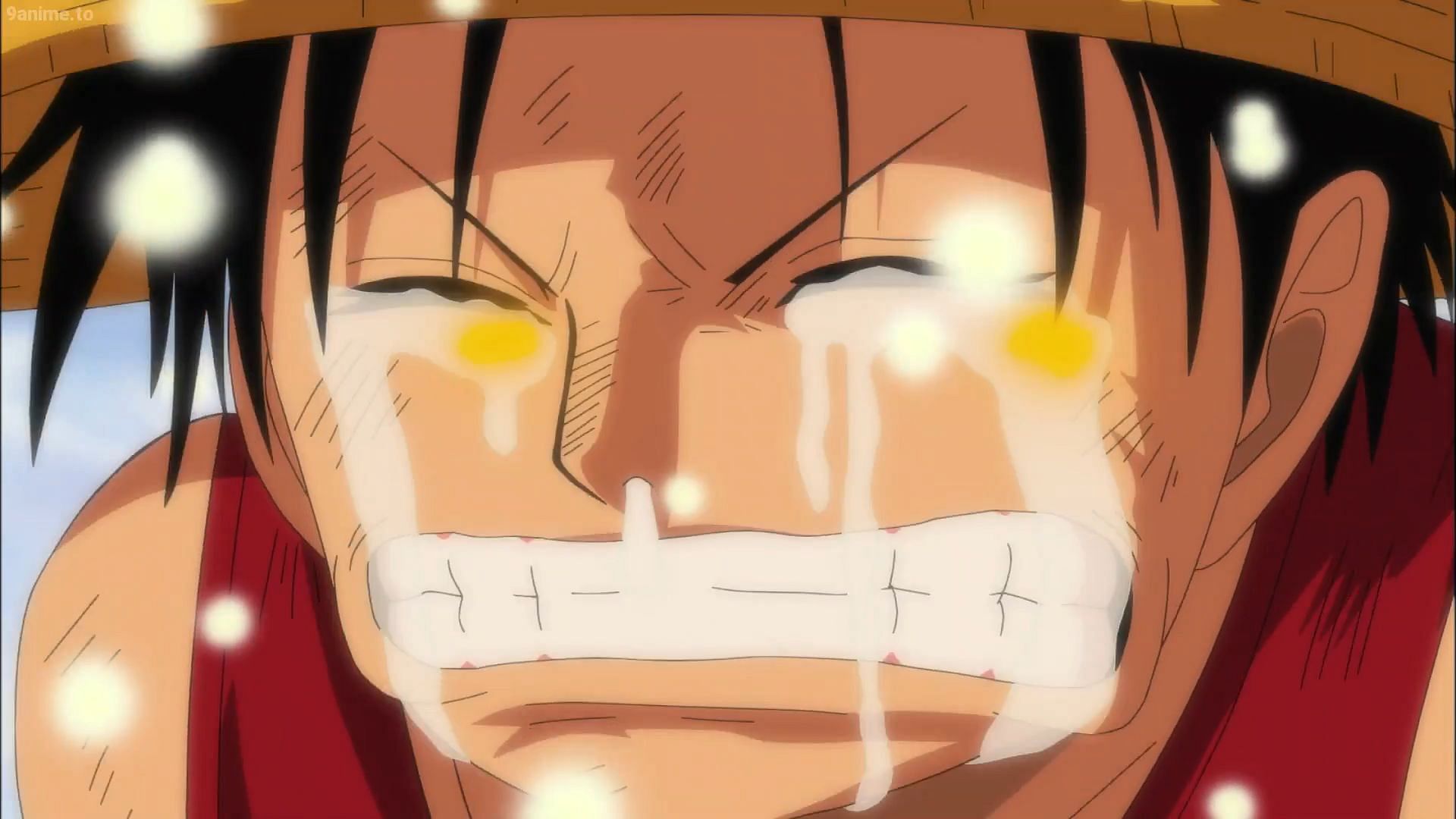 one piece side blog — this scene always makes me so emotional like the