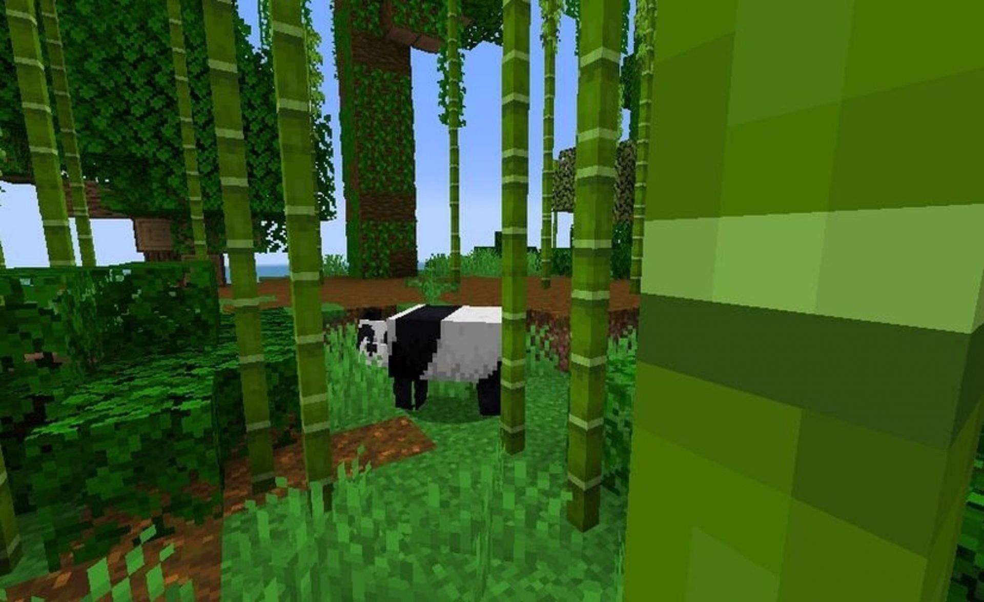 A panda roams the jungle island (Image via Mojang)