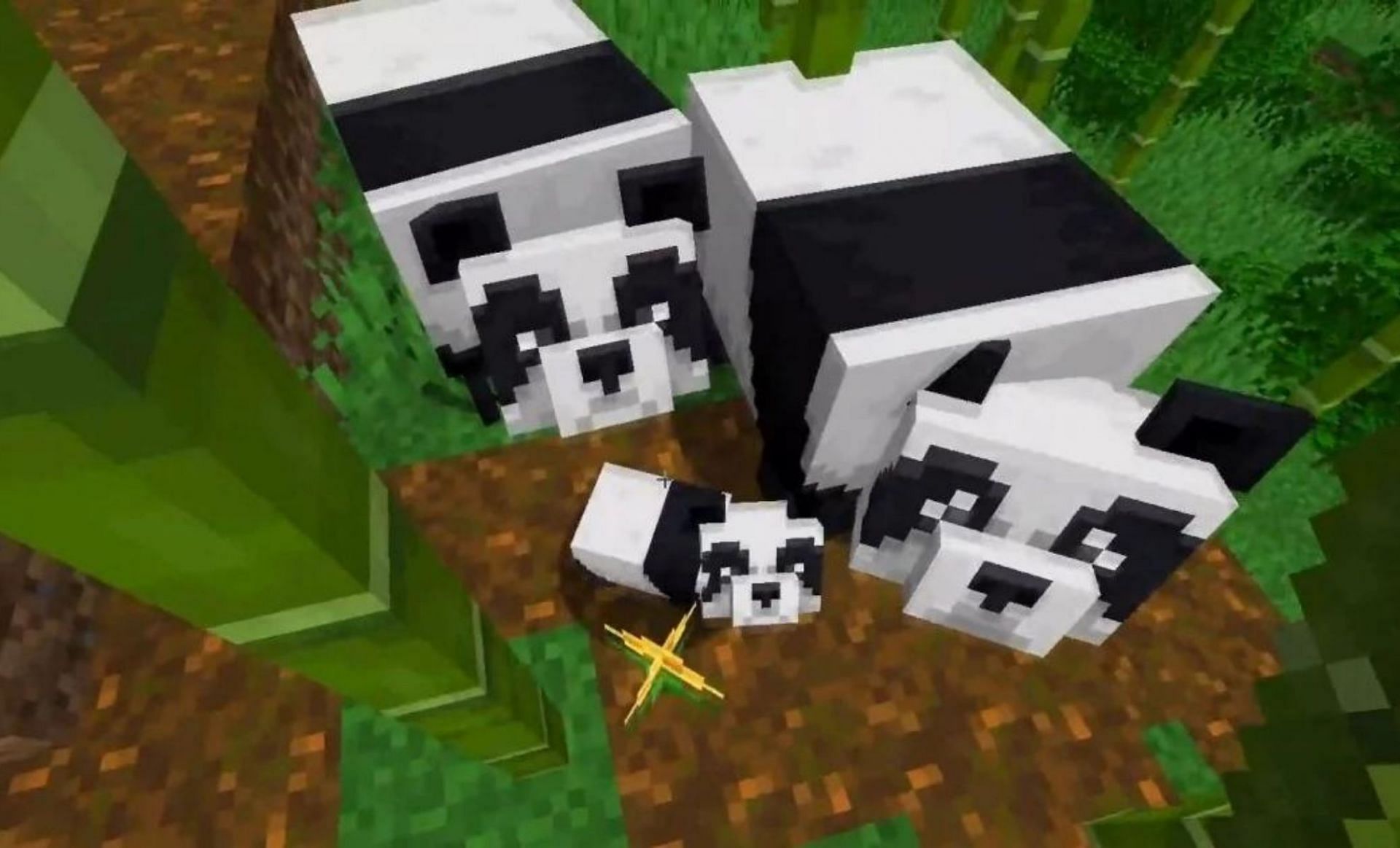Pandas in Minecraft (Image via Mojang)