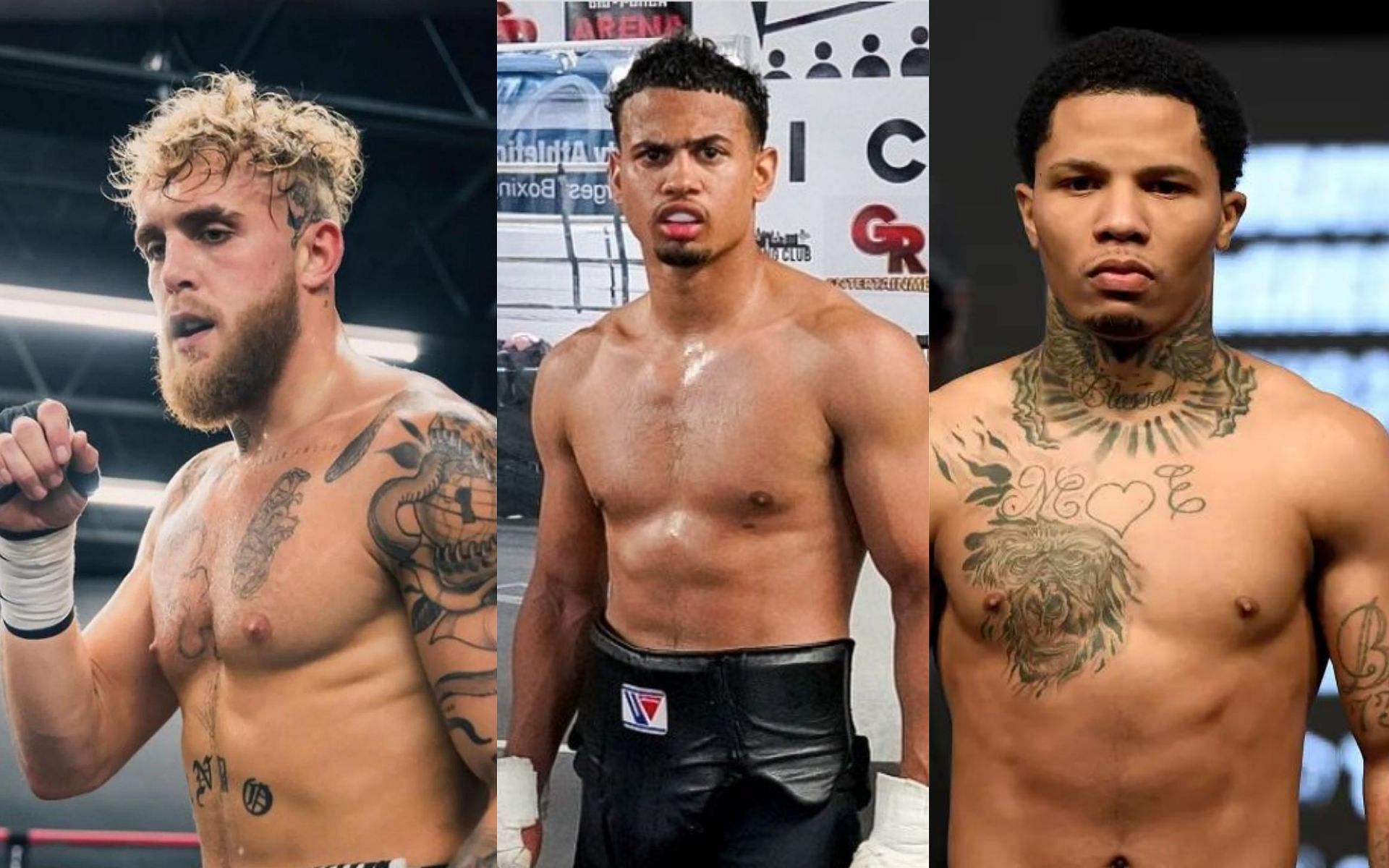 Jake Paul, Rolly Romero, and Gervonta Davis