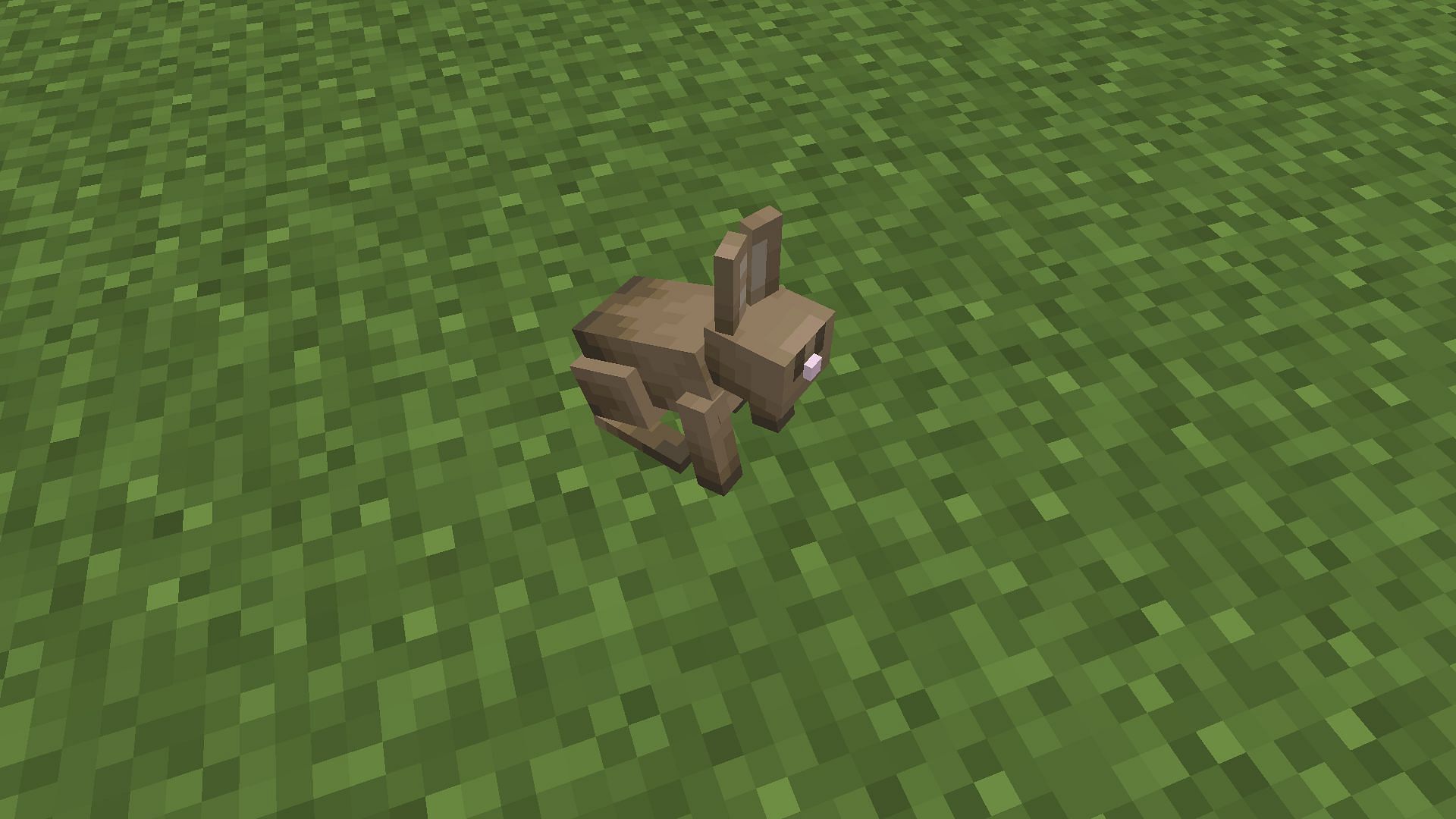 Rabbits are hard to hunt but can be easily killed with one hit (Image via Minecraft)