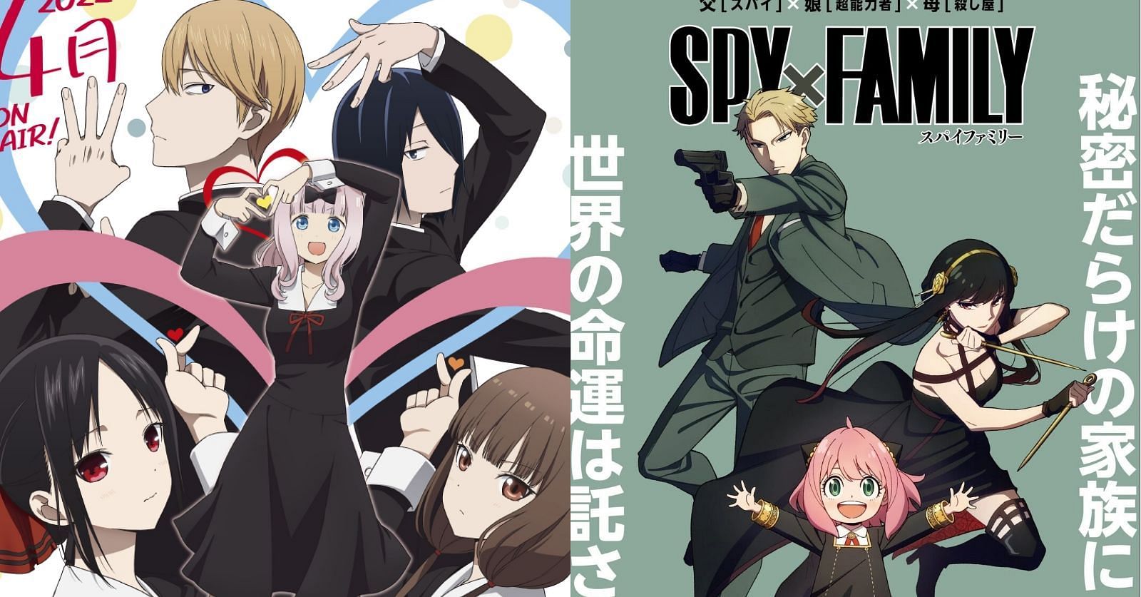 Spy x Family with Kaguya-Sama Edition