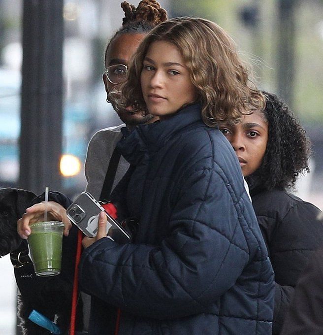 Fact Check: Did Zendaya get assaulted by another woman? Viral fight ...